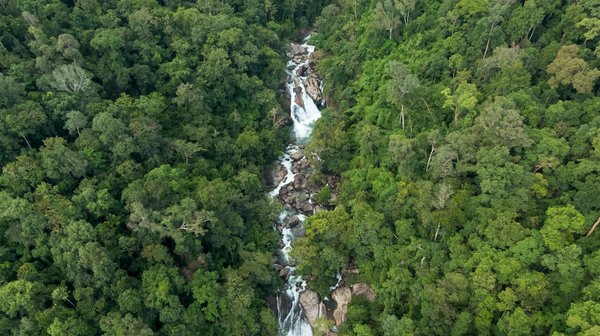 Héritier réservataire : protégez votre part de patrimoine