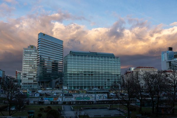 Découvrez les Délices Végétariens des Célébrités: Recettes Exquises à Essayer